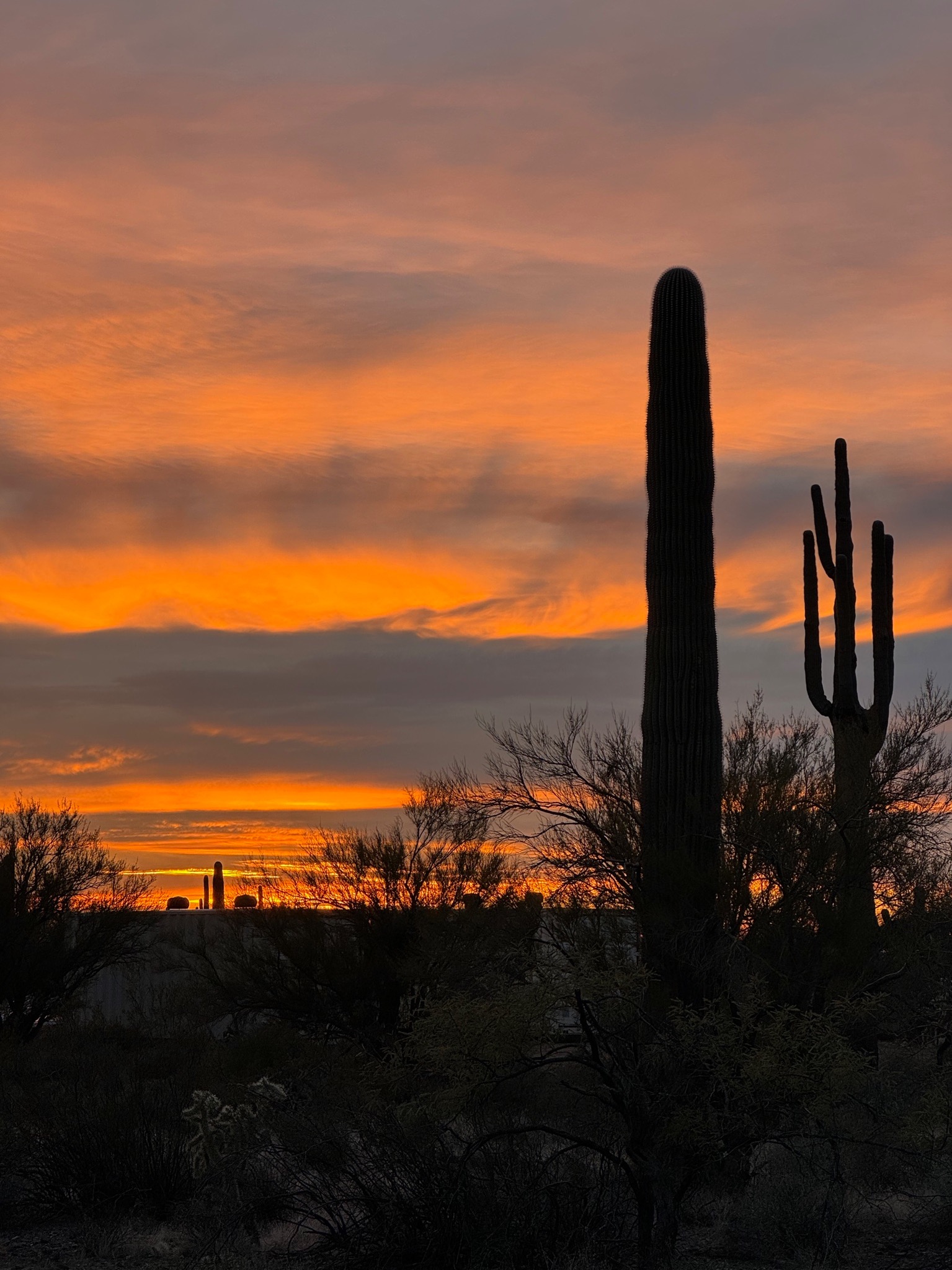 Sonoran Desert sunset at Ranches at Suizo Mountain